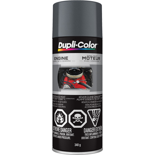 Peinture &agrave; &eacute;mail avec c&eacute;ramique pour moteur, Fonte grise, Tr&egrave;s brillant, 12 oz, Canette a&eacute;rosol Stor-it Systems