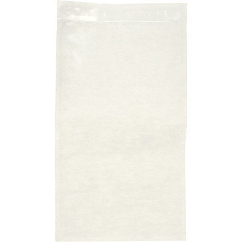 Non-Printed Packing List Envelope, 10" L x 5-1/2" W, Endloading Style Stor-it Systems
