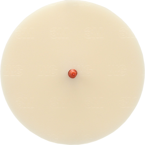 Scotch-Brite Moulding Adhesive and Stripe Removal Disc 7502, 6" Dia. Stor-it Systems