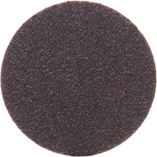 Disques 361F - Roloc TSM, 2" dia., Grain 36, Oxyde d'aluminium Stor-it Systems