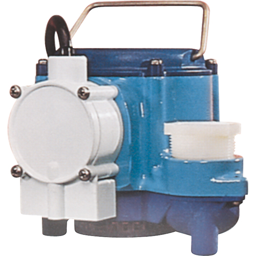 Submersible Pumps, 1/3 HP, 46 GPH, 115 V, 9 A Stor-it Systems