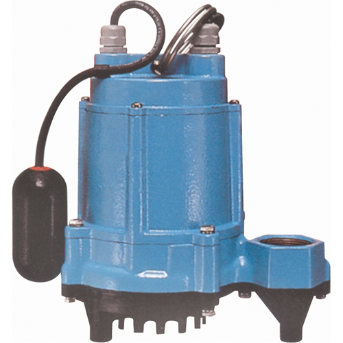 Pompes de puisard/pour effluents pour temp&eacute;ratures &eacute;lev&eacute;es, 50 gal./h, 115 V, 10,1 A, 1/3 CV Stor-it Systems