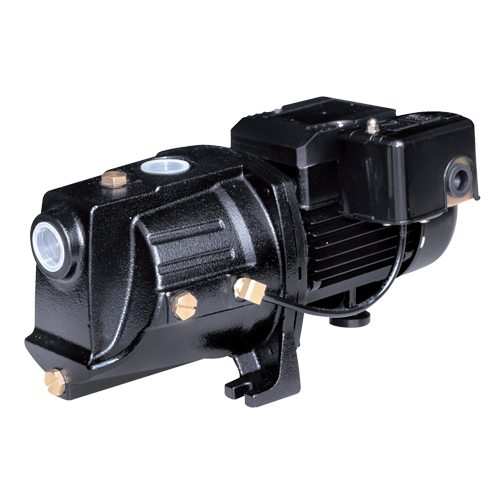 Pompe &agrave; jet en fonte &agrave; double tension pour puit peu profond, 230 V, 710 gal./h, 1/2 CV Stor-it Systems