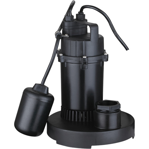 Pompe de puisard submersible thermoplastique, 2560 gal./h, 115 V, 4,6 A, 1/3 CV Stor-it Systems