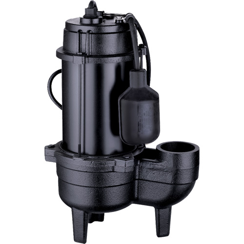 Pompe d'&eacute;gout en fonte, 120 V, 9,5 A, 6000 gal./h, 1/2 CV Stor-it Systems