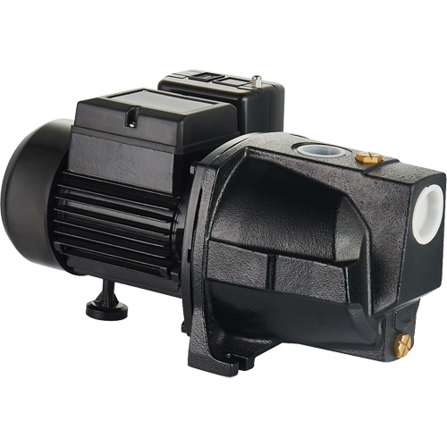 Pompe &agrave; jet en fonte &agrave; double tension pour puit peu profond, 115 V/230 V, 1100 gal./h, 1 CV Stor-it Systems