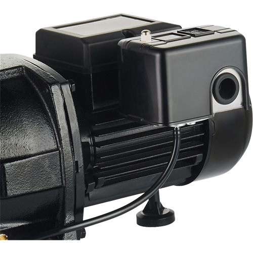Pompe &agrave; jet en fonte &agrave; double tension pour puit peu profond, 115 V/230 V, 1100 gal./h, 1 CV Stor-it Systems