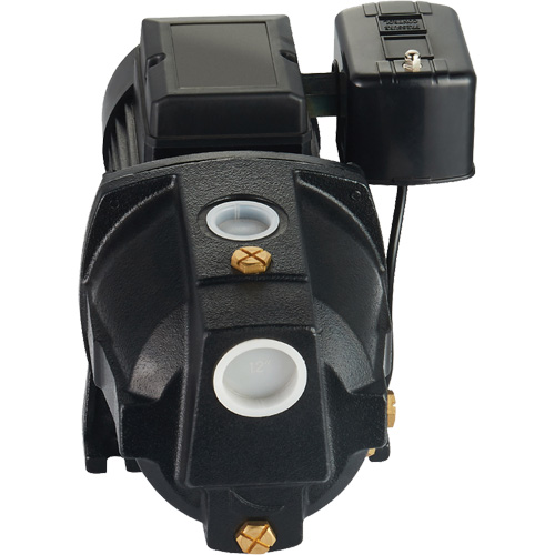 Pompe &agrave; jet en fonte &agrave; double tension pour puit peu profond, 115 V/230 V, 1100 gal./h, 1 CV Stor-it Systems