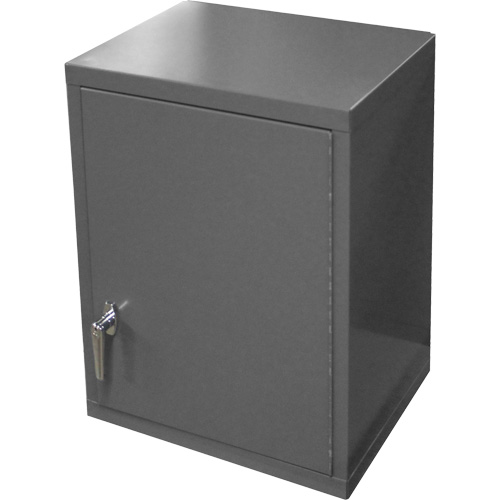Armoire murale, 27" h x 13-11/16" la x 18" p, 2 tablettes, Acier, Gris Stor-it Systems