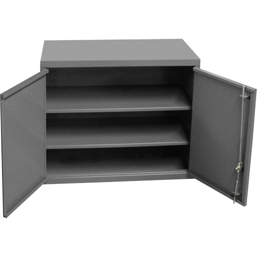 Wall-Mounted Cabinet, 27" H x 13-11/16" W x 35-7/8" D, 2 Shelves, Steel, Grey Stor-it Systems