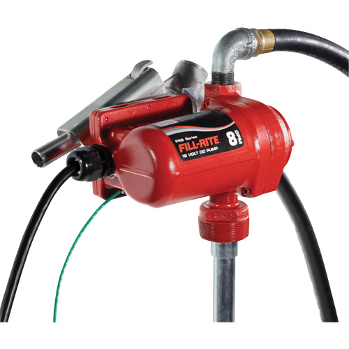 Pompe de transfert de carburant 12 V CC avec pistolet Stor-it Systems