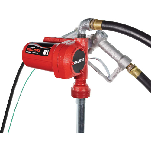 Pompe de transfert de carburant 12 V CC avec pistolet Stor-it Systems