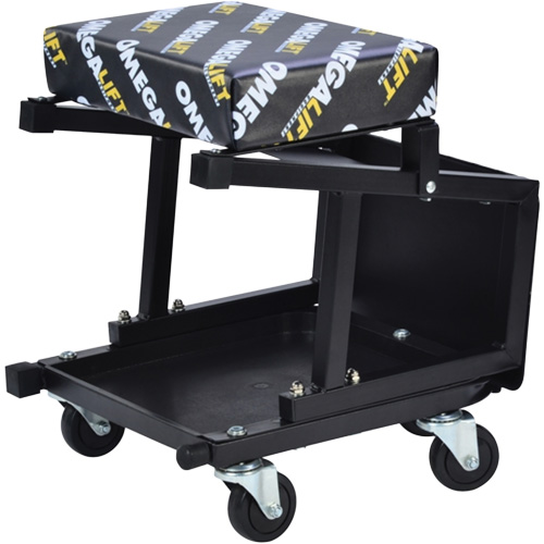 2-in-1 Seat-Stool Combo Stor-it Systems