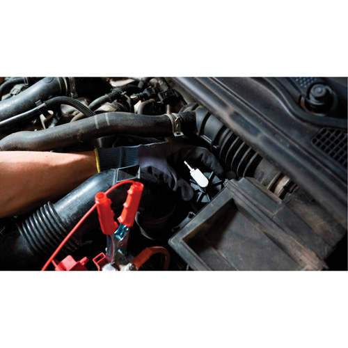 Tall Frame Brake-Pro Pressure Brake Bleeder with Adapters Stor-it Systems