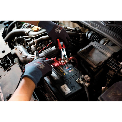 Tall Frame Brake-Pro Pressure Brake Bleeder with Adapters Stor-it Systems