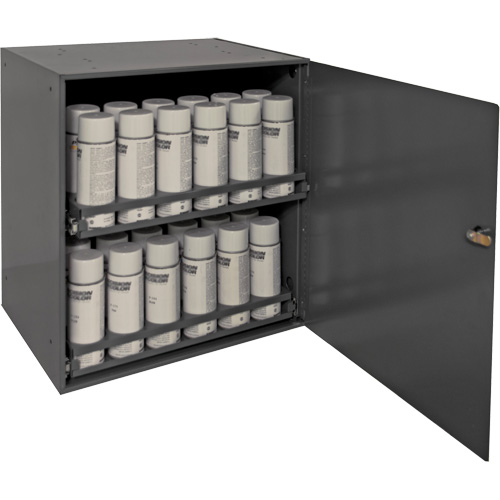 Armoire de rangement pour contenants a&eacute;rosol, Acier, 21-7/8" h x 15-15/16" la x 20-5/16" P, Gris Stor-it Systems
