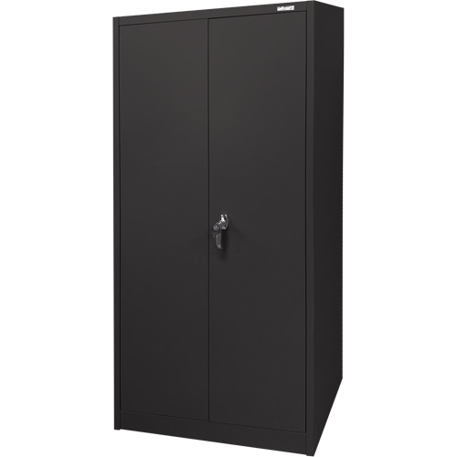 Armoire d'entreposage, Acier, 4 Tablettes, 66" h x 30" la x 15" P, Noir Stor-it Systems