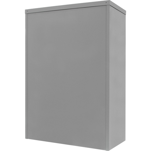 Counter-High Storage Cabinet, Steel, 2 Shelves, 42" H x 30" W x 15" D, Grey Stor-it Systems