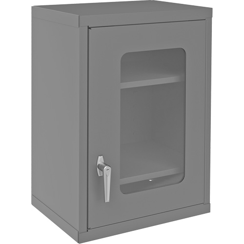 Armoire de rangement murale avec portes transparentes, 26-15/16" h x 18-1/8" la x 13-11/16" p, 2 tablettes, Acier, Gris Stor-it Systems