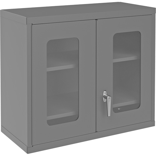 Armoire de rangement murale avec portes transparentes, 26-15/16" h x 29-7/8" la x 13-11/16" p, 2 tablettes, Acier, Gris Stor-it Systems