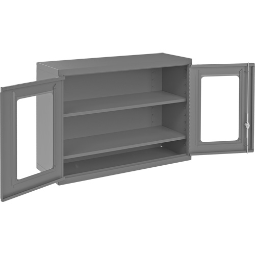 Armoire de rangement murale avec portes transparentes, 26-15/16" h x 35-7/8" la x 13-11/16" p, 2 tablettes, Acier, Gris Stor-it Systems