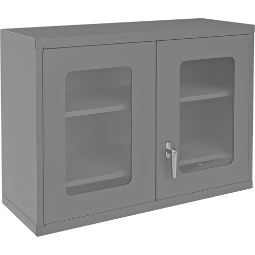 Armoire de rangement murale avec portes transparentes, 26-15/16" h x 35-7/8" la x 13-11/16" p, 2 tablettes, Acier, Gris Stor-it Systems