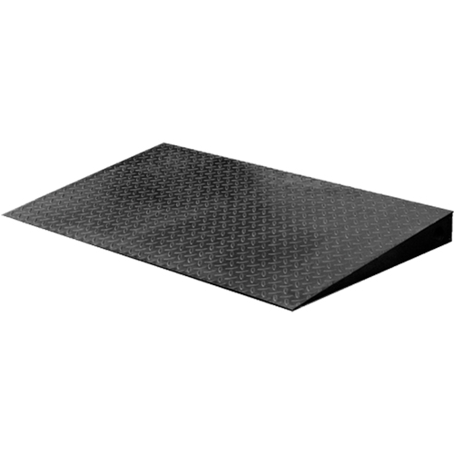VN Series Economical Floor Scales - Ramp Stor-it Systems