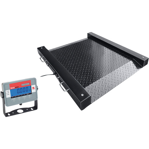 DEFENDER Floor Scale, 1000 lbs. Capacity, 30" L x 30" W Stor-it Systems