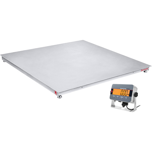 DEFENDER 3000 Floor Scale, 2500 lbs. Capacity, 48" W x 48" L Stor-it Systems