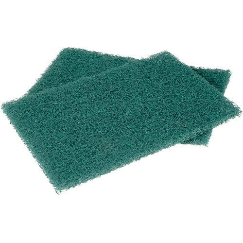 Tampons manuels Scotch-Brite, &agrave; r&eacute;curer, 6" la x 9" l Stor-it Systems