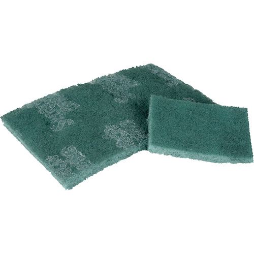 Tampon de r&eacute;curage, 3" lo x 4-1/2" la Stor-it Systems