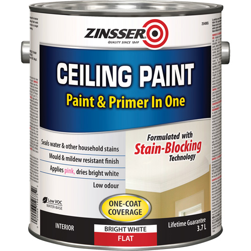 Peinture et appr&ecirc;t pour plafond en un seul produit, Blanc, Tr&egrave;s mat, 3,78 L, Gallon Stor-it Systems