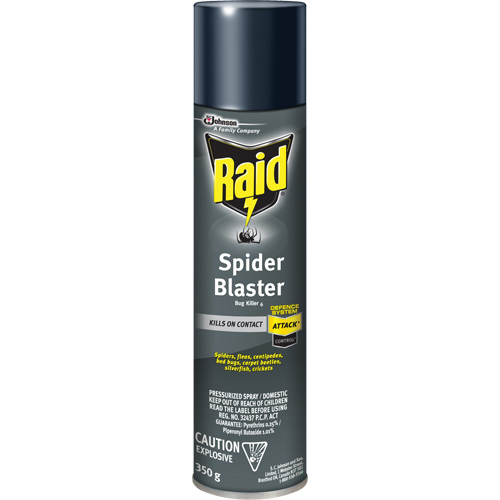 Insecticide exterminateur daraign&eacute;es Raid, 350 g, Canette a&eacute;rosol, &agrave; base de solvant Stor-it Systems