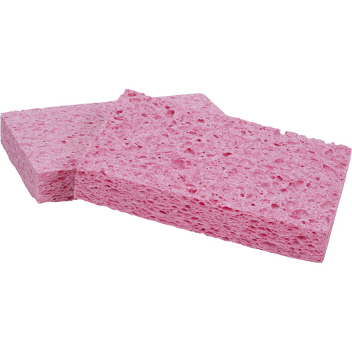 Scotch-Brite Sponge, Cellulose/Grouting/Scrubbing, 3-2/3" W x 6" L Stor-it Systems