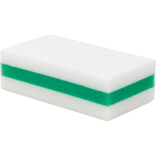 &eacute;ponge de nettoyage eXpunge Plus, &agrave; r&eacute;curer, 3-3/8" la x 6-1/4" l Stor-it Systems