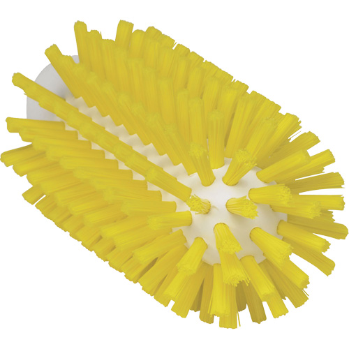 Brosse de 2,5", Soies Ferme, Longueur de 5-3/5", Jaune Stor-it Systems