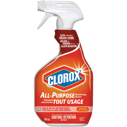 Nettoyant d&eacute;sinfectant tout usage &agrave; pulv&eacute;riser, 946 ml, Bouteille &agrave; g&acirc;chette Stor-it Systems