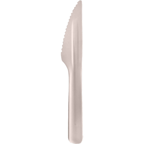 Bagasse Compostable Knives Stor-it Systems