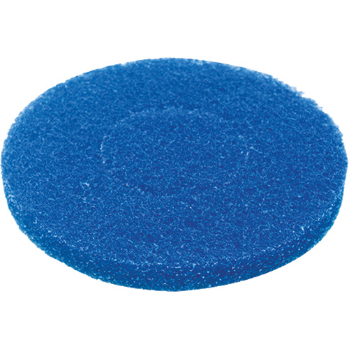 Floor Pad, Cleaning, Blue Stor-it Systems
