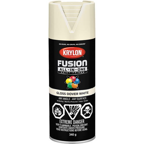 Peinture &agrave; pulv&eacute;riser tout en un Fusion, Blanc Dover, Brillant, 12 oz, Canette a&eacute;rosol Stor-it Systems