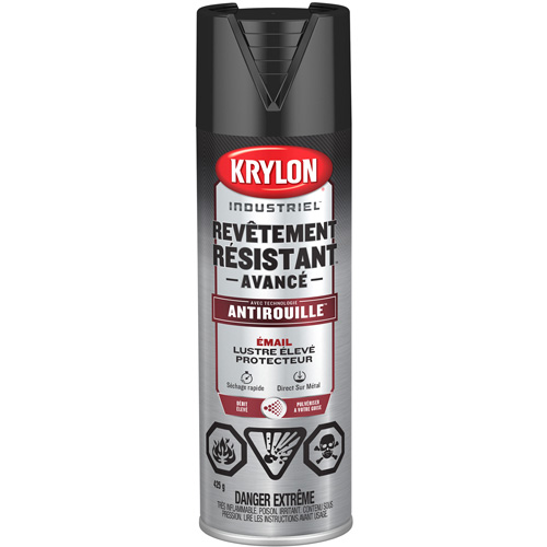 Peinture Tough Coat avec technologie Rust Barrier, Noir, Tr&egrave;s brillant, 425 g, Canette a&eacute;rosol Stor-it Systems