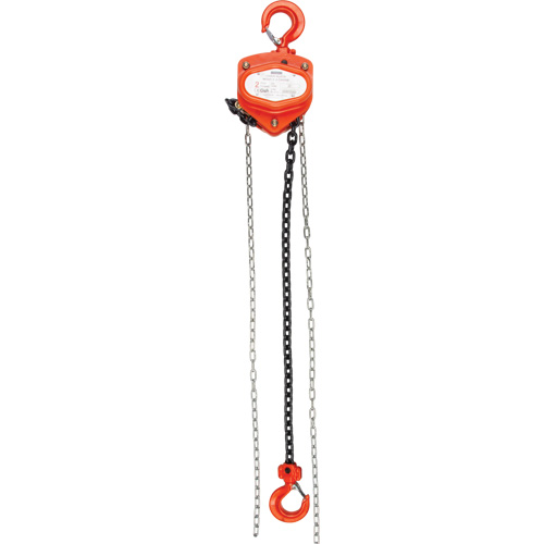Chain Hoist, 20' Lift, 6000 lbs. (3 tons) Capacity, Alloy Steel Chain Stor-it Systems