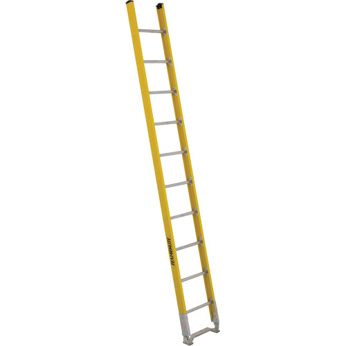 Single Section Straight Ladder - 6100 Series, 10', Fibreglass, 375 lbs., CSA Grade 1AA Stor-it Systems