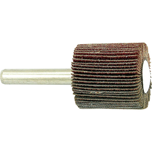 Disque &agrave; lamelles mont&eacute; sur mandrin, Grain 80, 1" x 1" x 1/4" Stor-it Systems