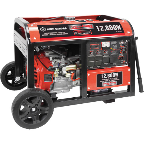 Gasoline Generator with Electric Start, 12600 W Surge, 9000 W Rated, 120 V/240 V, 31 L Tank Stor-it Systems