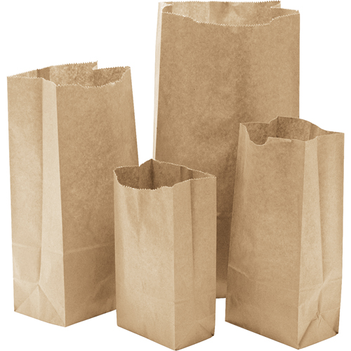 Paper Bags #14, Paper, 7-3/4" W x 14.8125 L Stor-it Systems