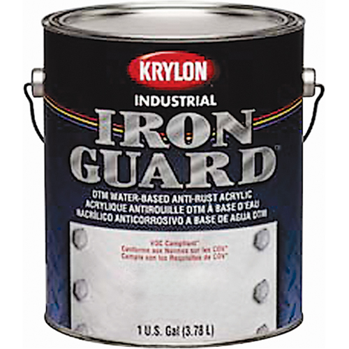 &eacute;mail industriel &agrave; base d'eau Iron Guard, Canette, Gris Stor-it Systems