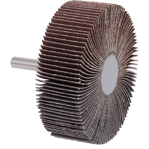 Disque &agrave; lamelles mont&eacute; sur mandrin, Grain A120, 3" x 1" x 1/4" Stor-it Systems