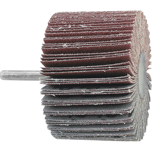 Disque &agrave; lamelles mont&eacute;, Grain 60, 3" x 1" x 1/4" Stor-it Systems