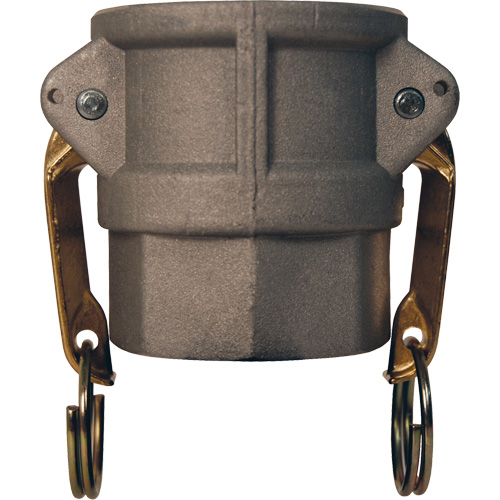 Coupleur &agrave; came et cannelure Global, Aluminium, Type D, 2-1/2", NPT femelle, 250 PSI Stor-it Systems